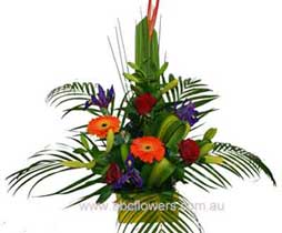 ABC Flowers A009 Exhibition Street - Boxed Flower Arrangement Contemporary Style with lilies, roses, gerberas, iris and bird of paradise Free Delivery to Melbourne Inner Suburbs Melbourne Wide Delivery 