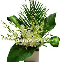 ABC Flowers St. Vincent's Hospital Melbourne Deliver A020 White Singapore Orchids Arrangement Melbourne Wide Free Delivery Melbourne Inner Suburbs