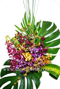 ABC Flowers St. Vincent's Hospital Deliver A021 Colorful Orchids Arrangement Melbourne Wide Free Delivery Melbourne Inner Suburbs