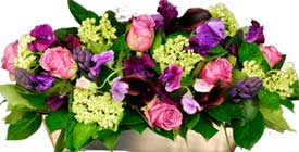 ABC Flowers Fitzroy Melbourne Deliver A024 Abbortsford Ceramic Colourful Flower Arrangement melbourn wide free delivery to all melbourne inner suburbs