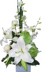 A026 Moonee Ponds- A box arrangement with white lilies, roses, orchid and anthuriums