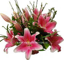 ABC Flowers St. Vincent's Hospital Melbourne Deliver A027 Premium Oriental Lilies Box Arrangement Melbourne Wide Free Melbourne Inner Suburbs Delivery