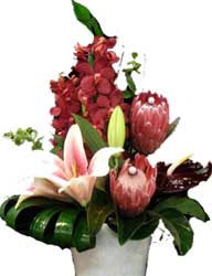 ABC Flowers St. Vincent's Hospital Fitzroy Melbourne Deliver A035 Fairfield box arrangement of long lasting flowers melbourne wide free delivery all melbourne inner suburbs