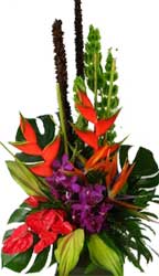 ABC Flowers St. Vincent's Hospital Fitzroy Melbourne Deliver A036 A luxury tropical flower arrangement melbourne wide free delivery melbourne inner suburbs