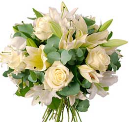 ABC Flowers Fitzroy Melbourne is your local florist to Frances Perry House deliver B006 West Melbourne White roses and white oriental lilies melbourne wide free delivery melbourne inner suburbs