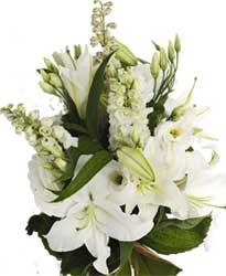 ABC Flowers St. Vincent's hospital fitzroy melbourne deliver B011 white delphiniums lisies oriental lilies bouquet 7 days a week melbourne wide