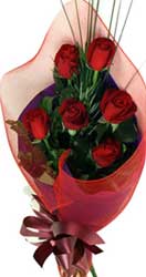 ABC Flowers st. vincent's hospital fitzroy melbourne deliver B024 half dozen red roses melbourne wide 7 days a week free delivery melbourne inner suburbs