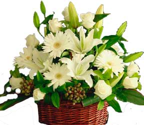 ABC Flowers st. vincent's hospital fitzroy melbourne deliver ba003 cottage style flower arrangement in basket melbourne wide free delivery melbourne inner suburbs