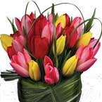 ABC Flowers st. vincent's hospital fitzroy melbourne deliver flowers in vase melbourne wide
