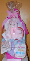 ABC Flowers st. vincent's hospital fitzroy melbourne deliver h002 new born gift pack melbourne wide free delivery melbourne inner suburbs