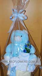 ABC Flowers st. vincent's hospital fitzroy melbourne deliver h004 new born gift pack in wash basket melbourne wide free delivery melbourne inner suburbs