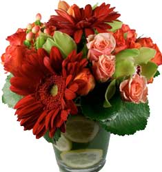 ABC Flowers st. vincent's hospital fitzroy melbourne deliver v007 michael roses gerberas orchids and berries in vase melbourne wide 7 days a week free delivery melbourne inner suburbs
