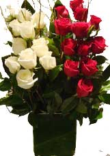 ABC Flowers st. vincent's hospital fitzroy melbourne deliver v008 eve long stems white and pink roses in vase melbourne wide 7 days a week free delivery melbourne inner suburbs