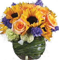 ABC Flowers st. vincent's hospital melbourne fitzroy deliver v009 mark roses hydrangea in square vase melbourne wide free delivery melbourne inner suburbs
