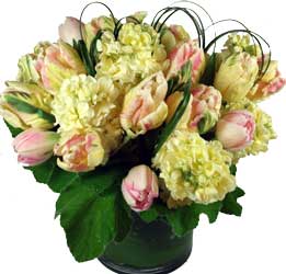 ABC Flowers st. vincent's hospital fitzroy melbourne deliver v013 stocks tulips in fish bowl melbourne wide 7 days a week free delivery melbourne inner suburbs