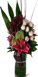 ABC Flowers st. vincent's hospital fitzroy melbourne deliver v014 amelia roses lilie anthuriums in a tall vase melbourne wide free delivery melbourne inner suburbs