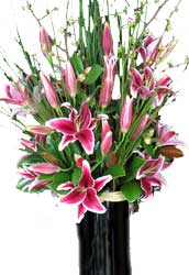 ABC Flowers st. vincent's hospital melbourne fitzroy deliver v020 pink oriental lilies in a tall vase melbourne wide free delivery melbourne inner suburbs 7 days a week