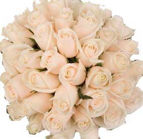 ABC Flowers fitzroy melbourne Bridal Bouquet with pink roses melbourne wide delivery