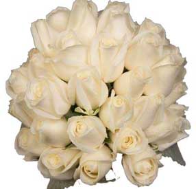 ABC Flowers fitzroy melbourne delivery bridal bouquet of creamy roses melbourne wide free delivery melbourne inner suburbs
